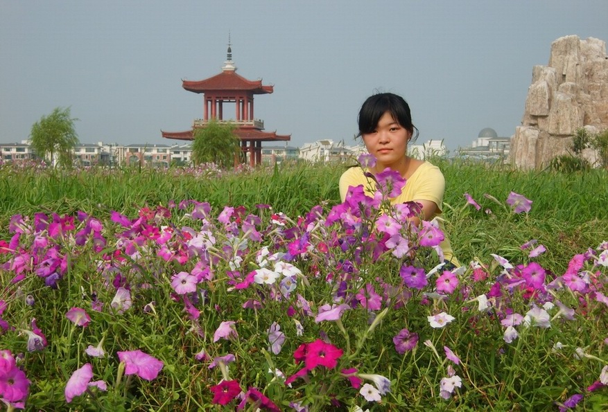 花仙子 摄影 渤海红柳