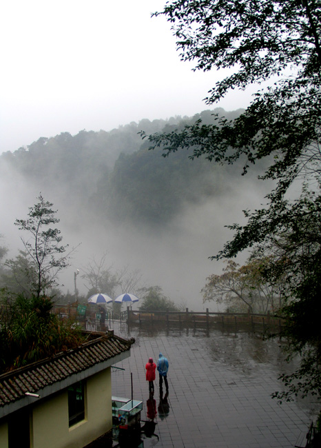 伴行秋雨 摄影 老格