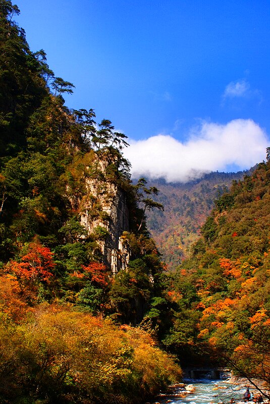 高山、溪流、红叶 摄影 cdlq_a200