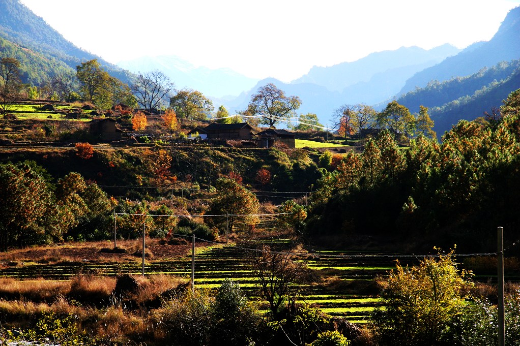 山村小景( 1 ) 摄影 山猪