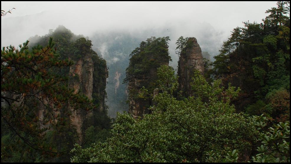 雾里的凝重 摄影 枫林叶