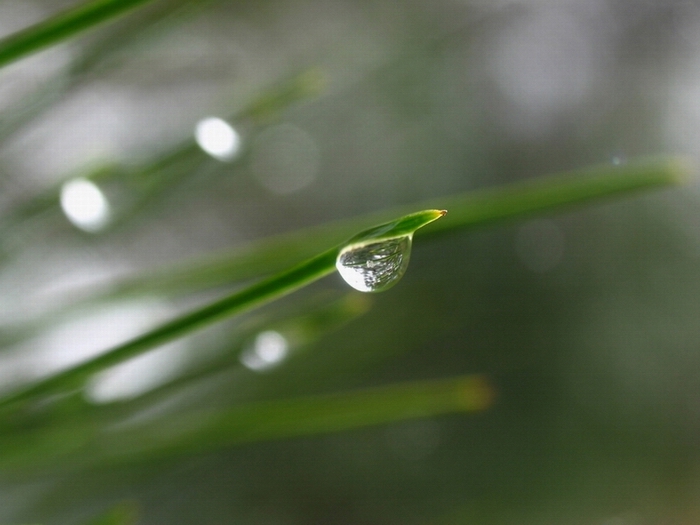 雨后·灵 摄影 繁星之夜