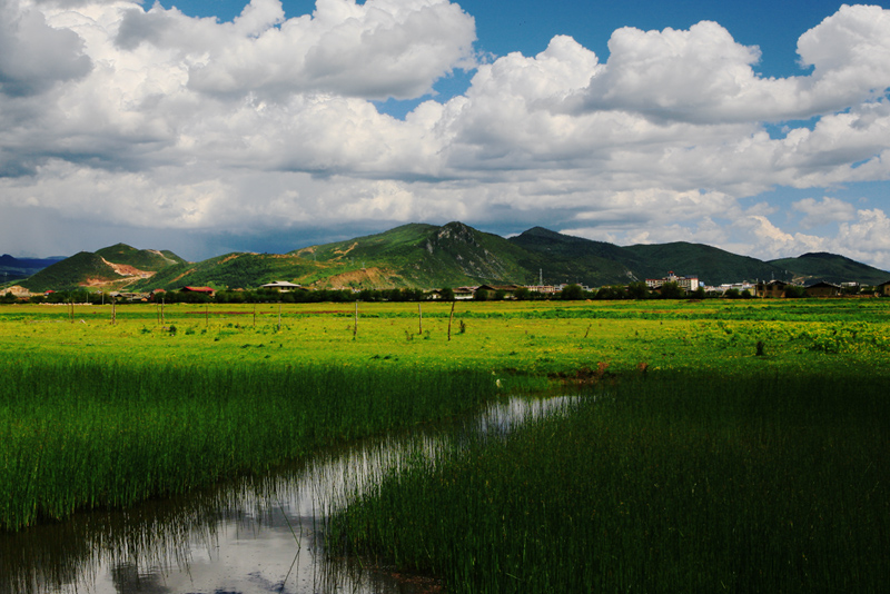 香格里拉乡村景色(八) 摄影 无言-郑