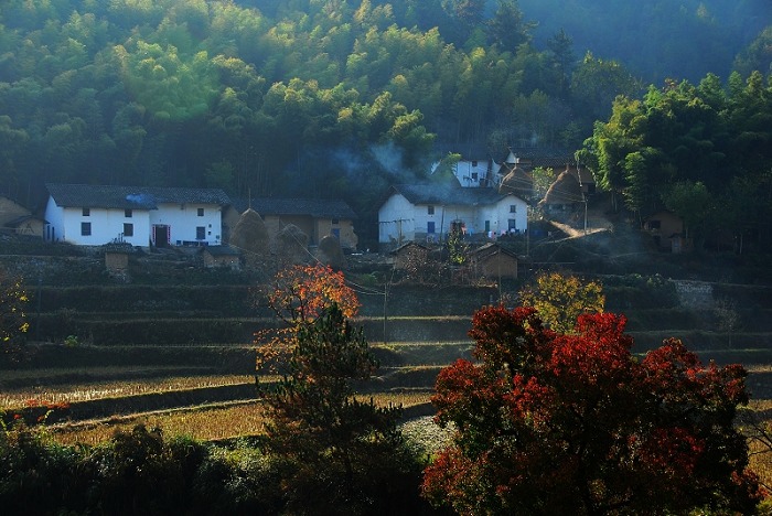 系列深村红叶---晨 炊 摄影 峰舞九天