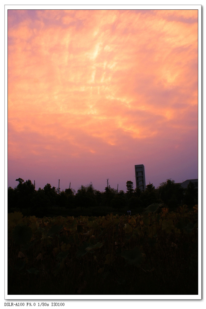校园一景 摄影 tbw
