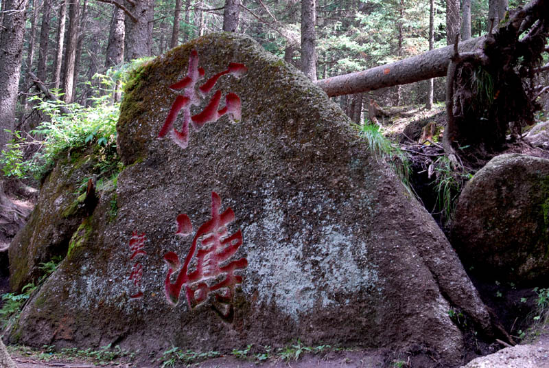 芦芽山 摄影 子杰