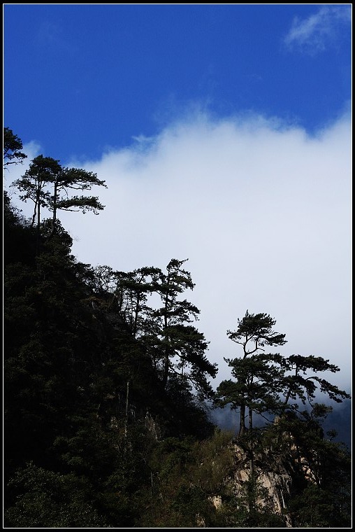 东拉山·迎客松 摄影 天翼