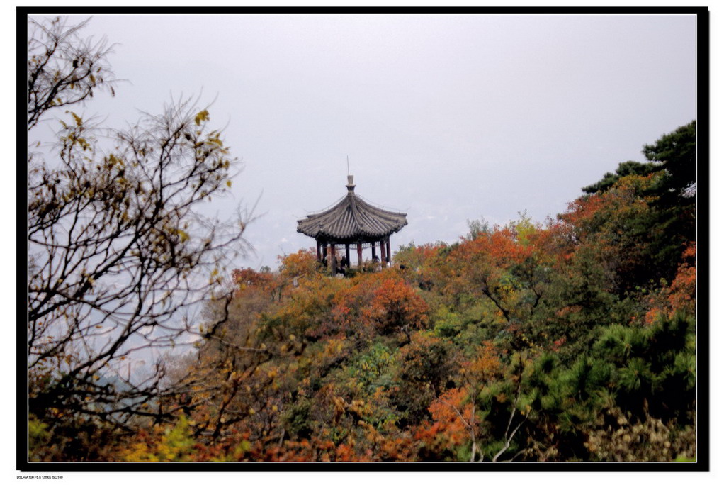 香山一景 摄影 和颜悦色