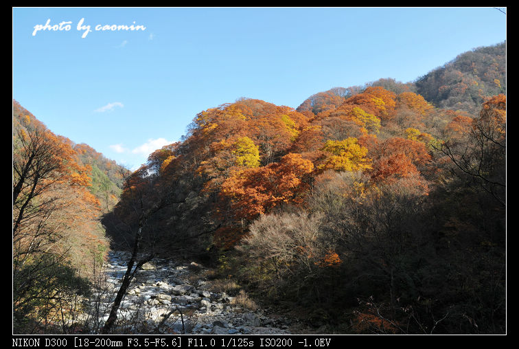 光雾山(04) 摄影 草民