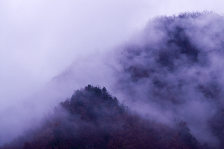 烟雨秦岭 摄影 关键