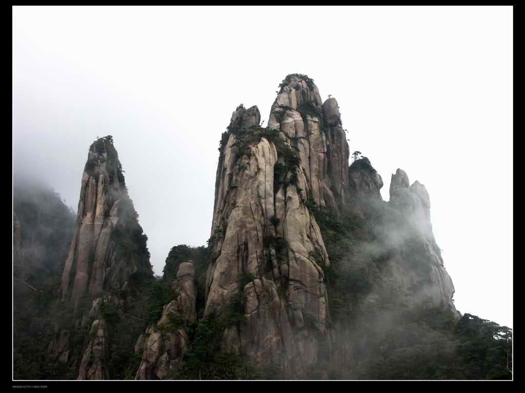 三清山 摄影 红花雨