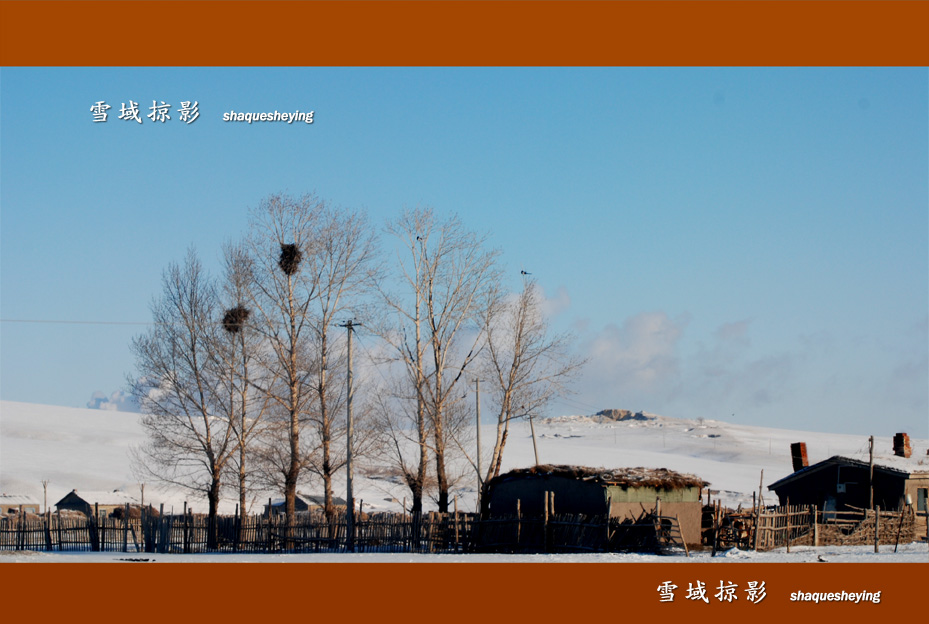 雪域掠影－3 摄影 山雀