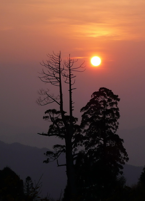 夕阳 摄影 林中雀