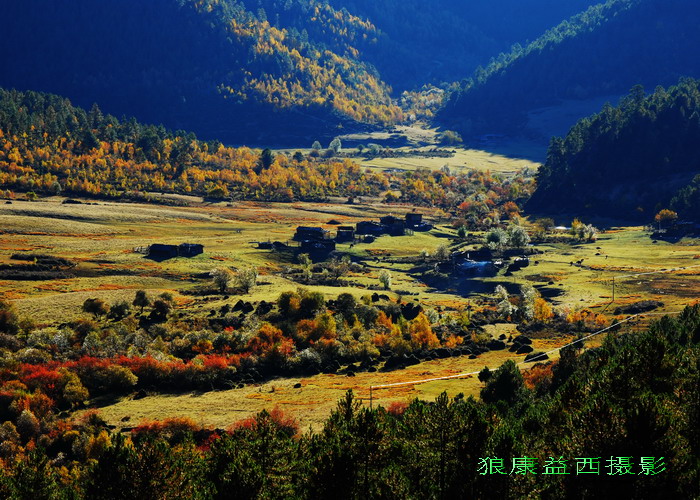 阶地牧场 摄影 狼康益西