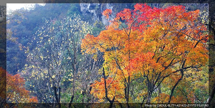 四川雅安东拉山风光 摄影 cdlq_a200