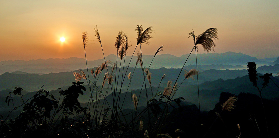 夕阳 摄影 楠松林