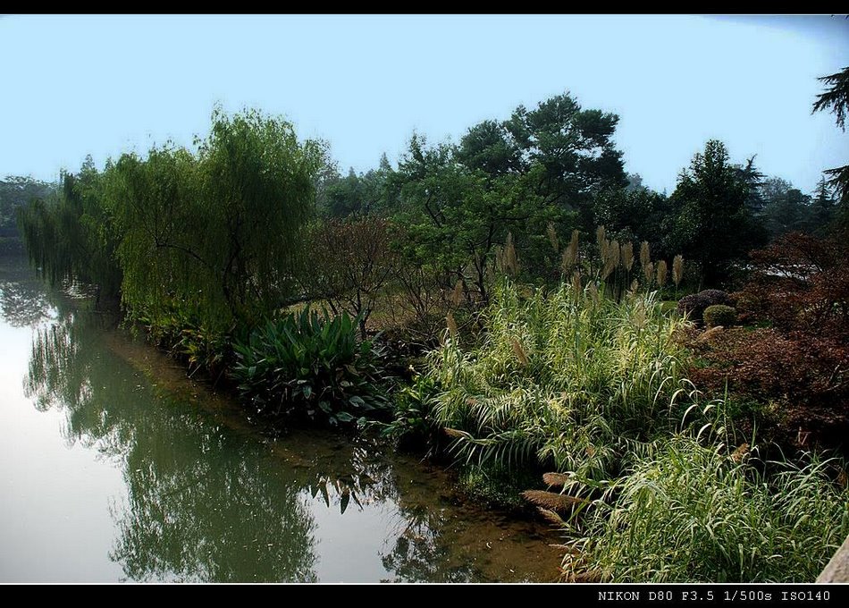 秋日的午后(三) 摄影 彼岸的风景