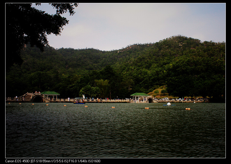 公园小景 摄影 珠海水杉