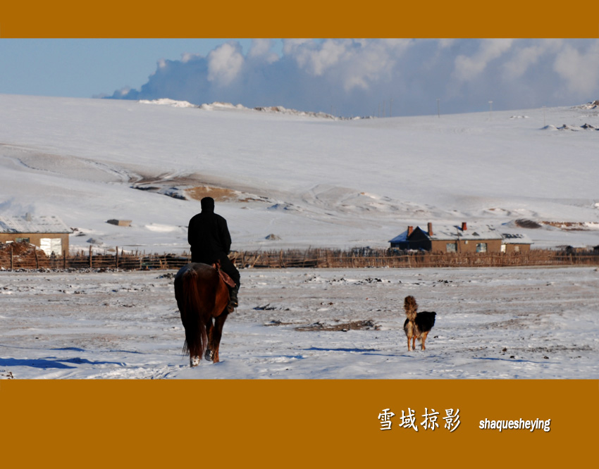 雪域掠影－6 摄影 山雀