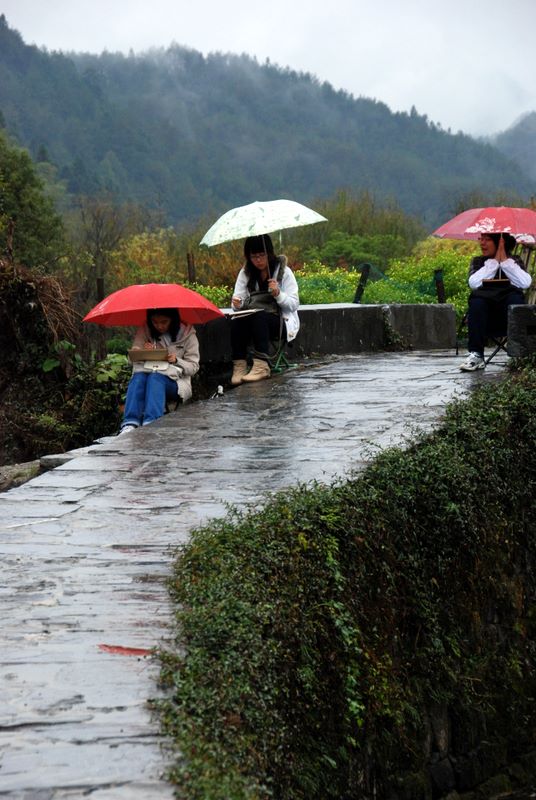 雨中冩生 摄影 难得胡涂