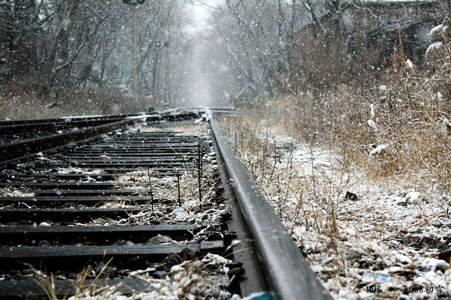 2008年初雪 摄影 MQK