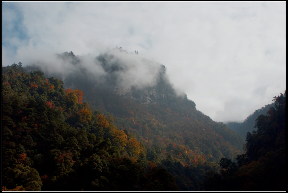 秋色满山 摄影 天涯独行客