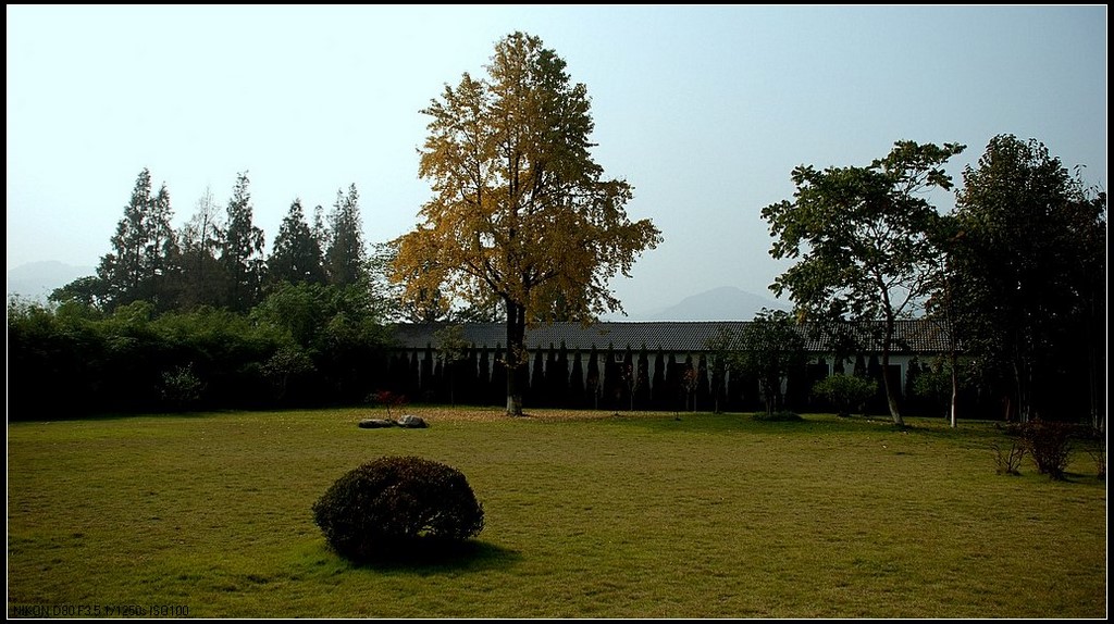 秋日的午后(四） 摄影 彼岸的风景