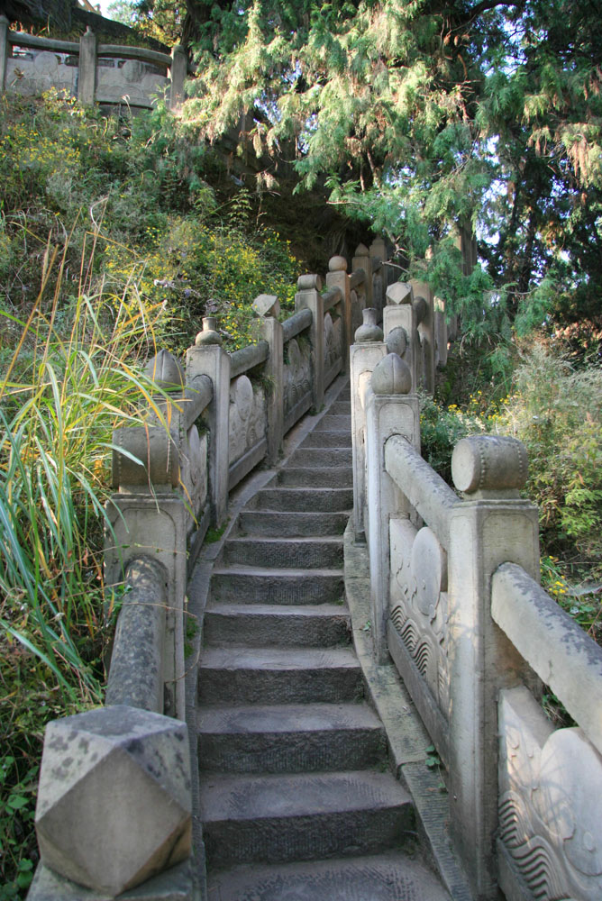 黄帝陵印象 摄影 王柏杉