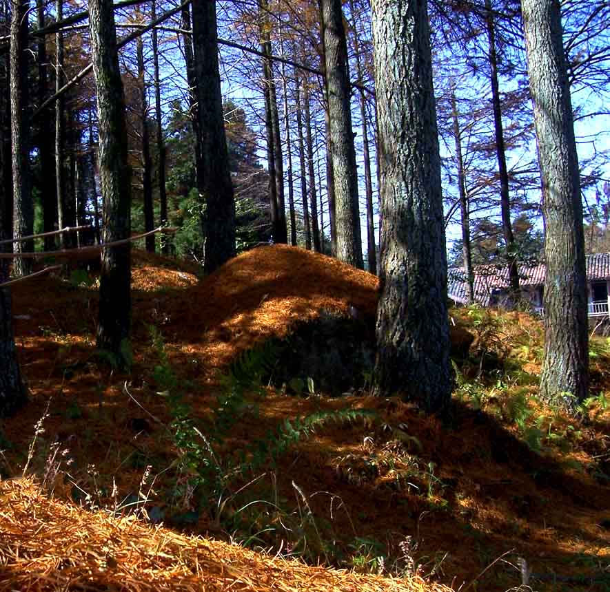 秋色黄龙山1 摄影 山谷之春