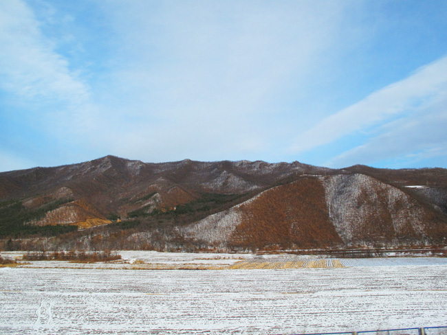 黑龙江的初场雪 摄影 甲由田