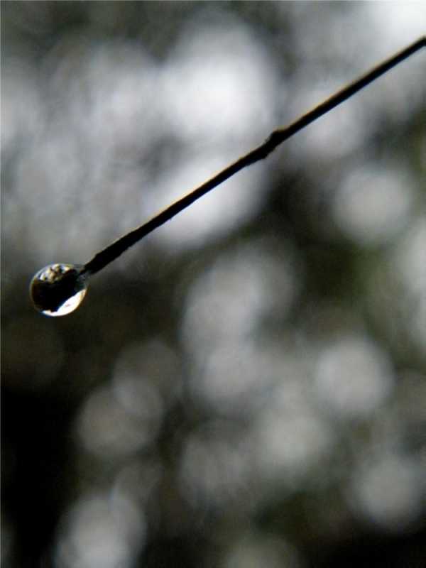 雨后新生 摄影 雷默船长