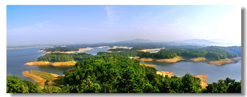 夏日水乡 摄影 踏遍山水