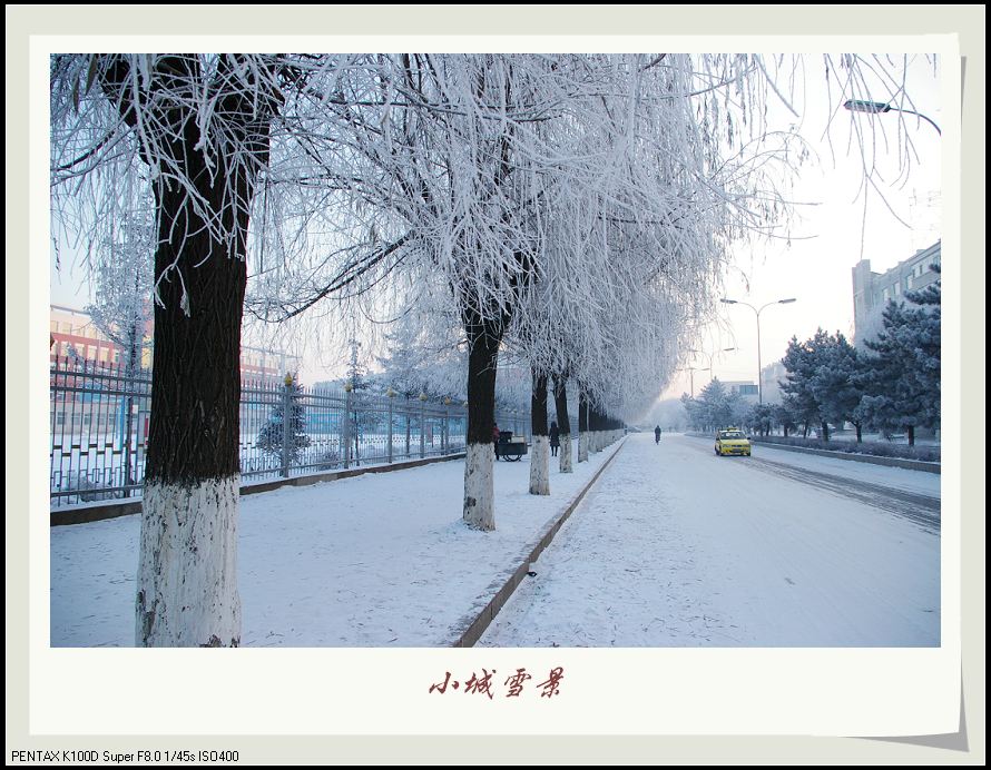 小城雪景 摄影 万里秋风