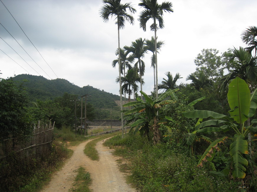 乡间小路 摄影 COCOCIQ