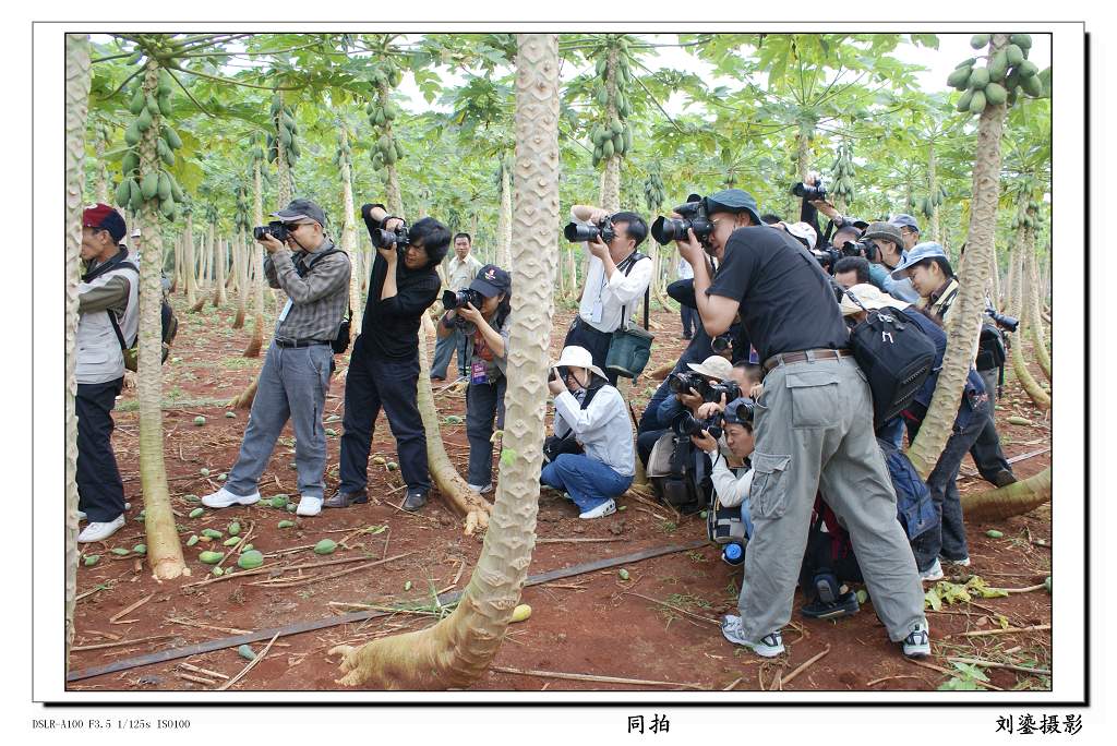 同拍 摄影 刘鎏