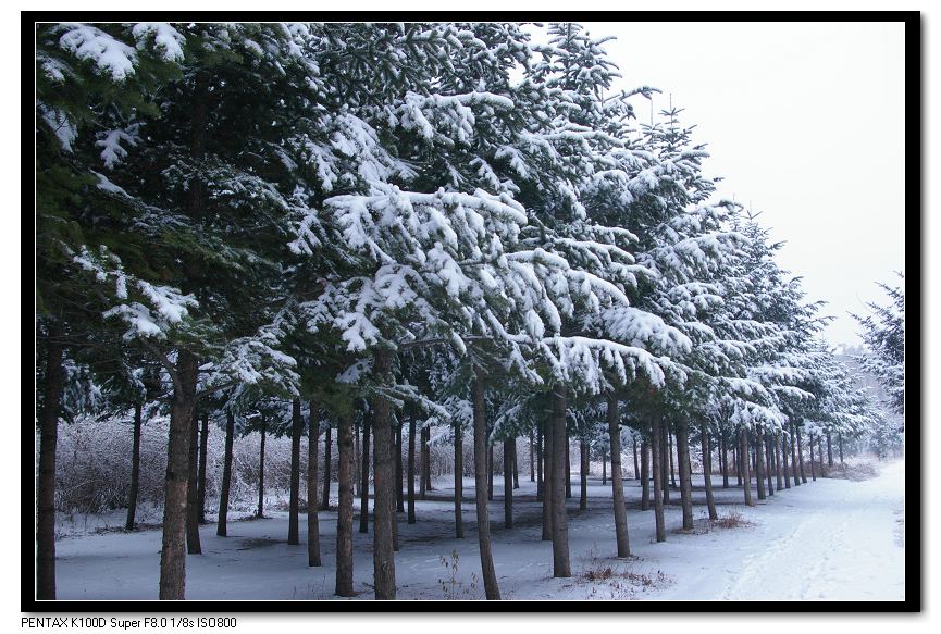 雪 摄影 万里秋风