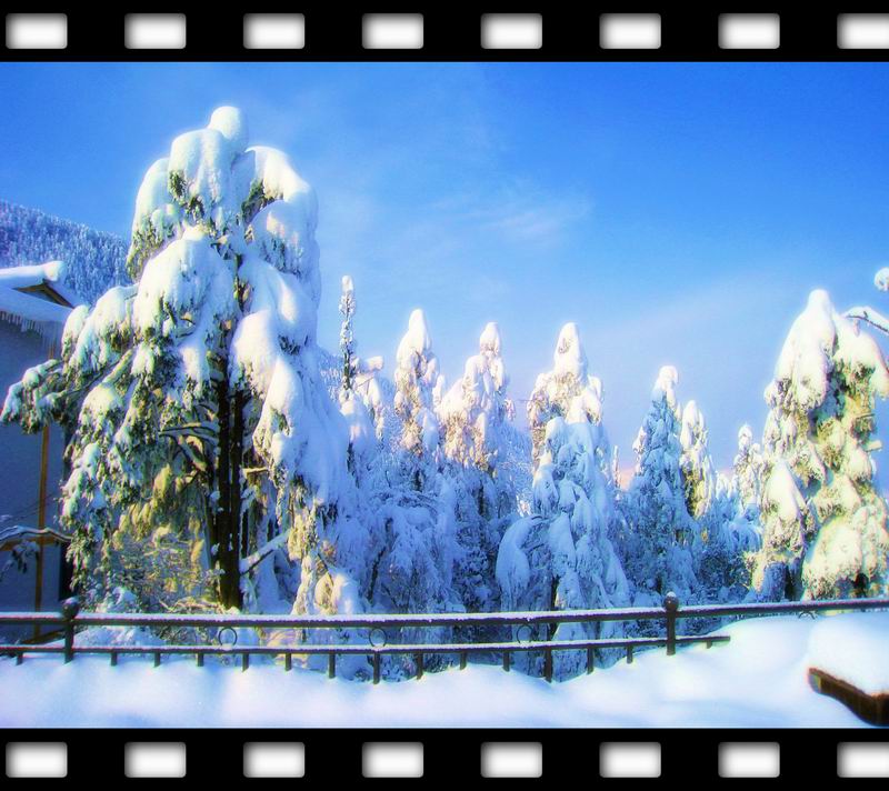 峨眉雪 摄影 霍震