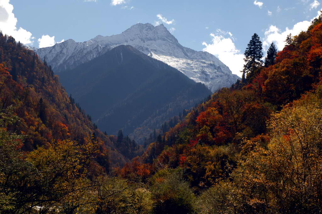 远方的神山 摄影 正先