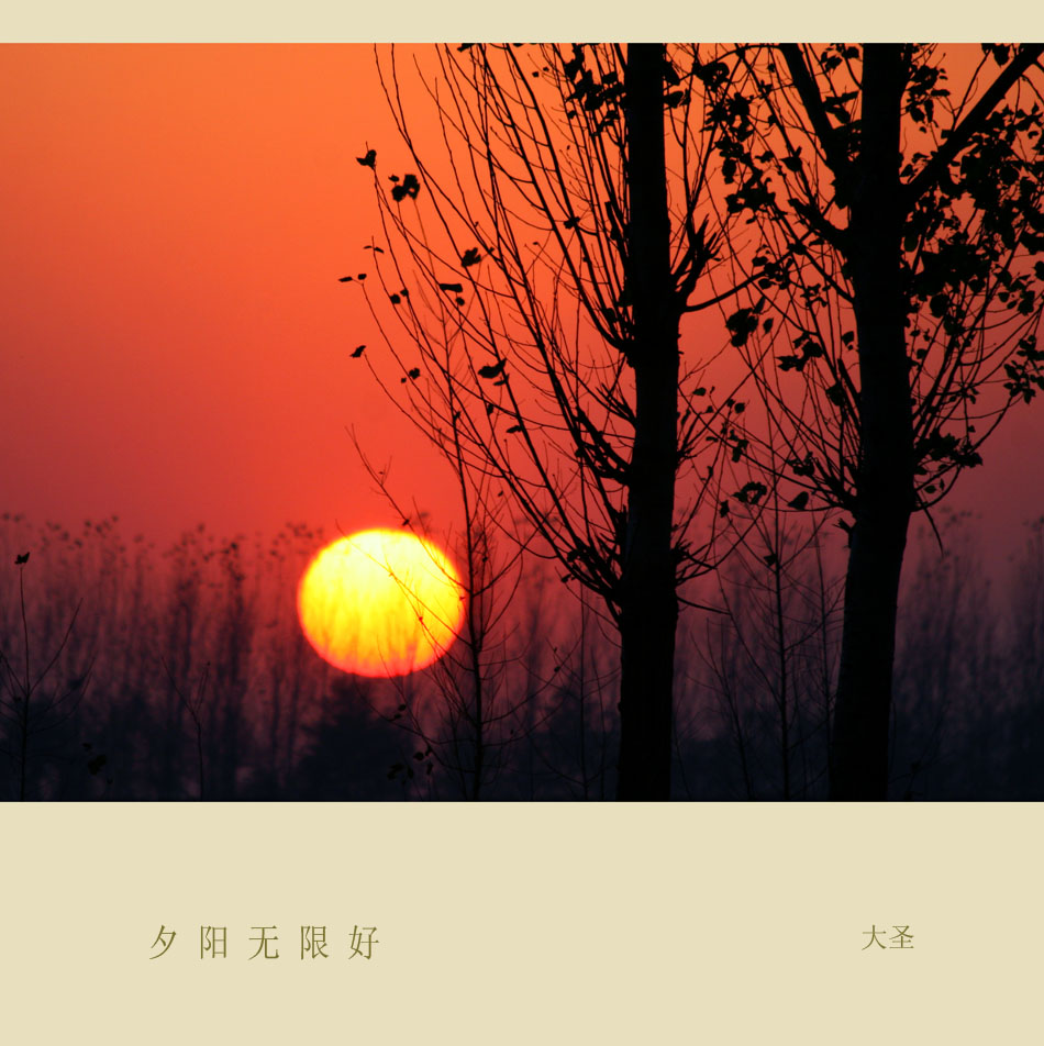 2008秋《19》夕阳 摄影 大圣