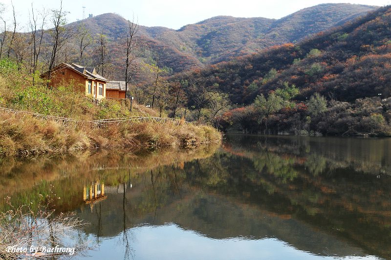 秋语 15 （香山水库） 摄影 baehrong