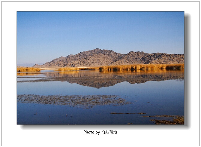 可可苏里海的晨曦 摄影 怕娃落地009