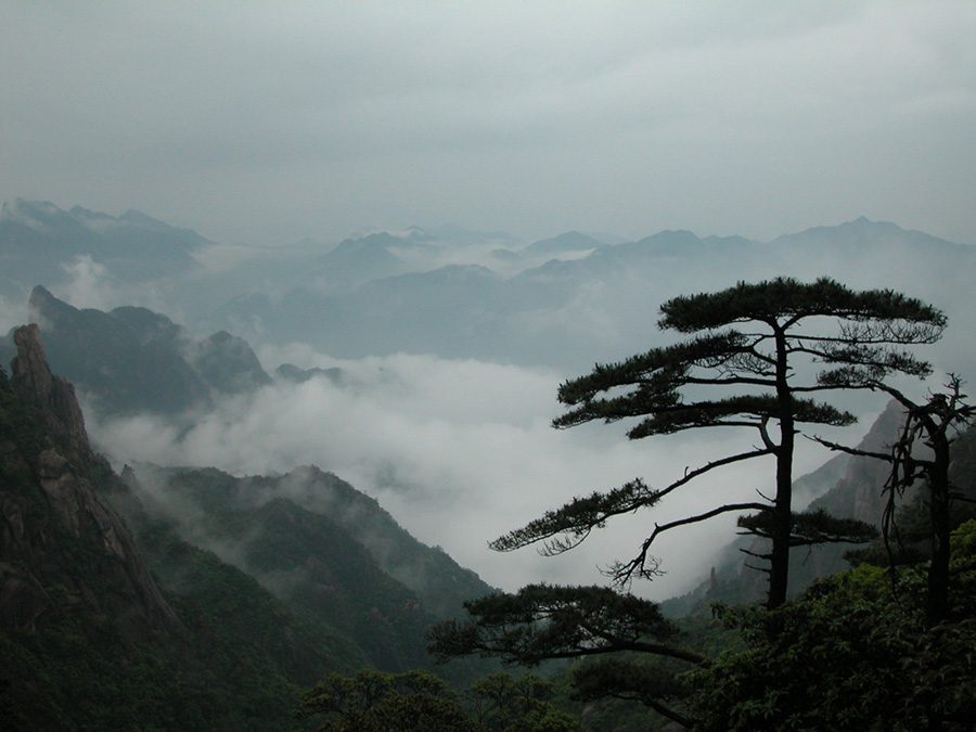 松望远山云雾来 摄影 天人一合