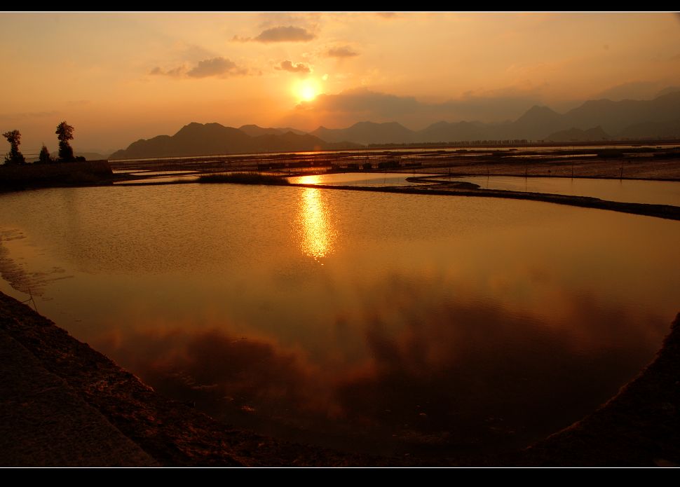 夕映滩涂 摄影 沙拉