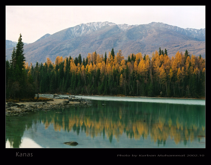 喀纳斯湖 摄影 kurbanphoto