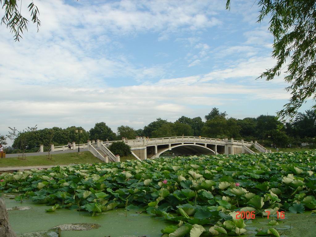 玄武湖风景 摄影 金陵沧海粟