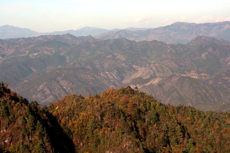 秋山 摄影 霞衣