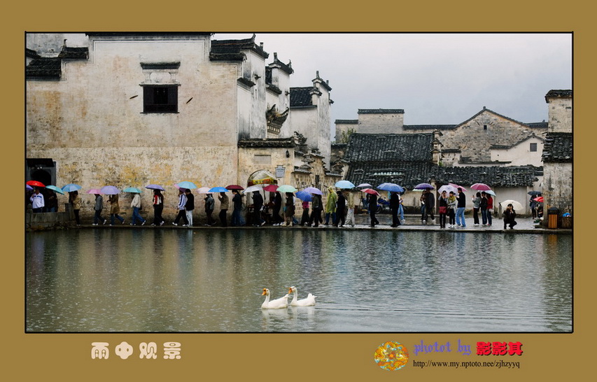 《雨中观景》 摄影 影影其