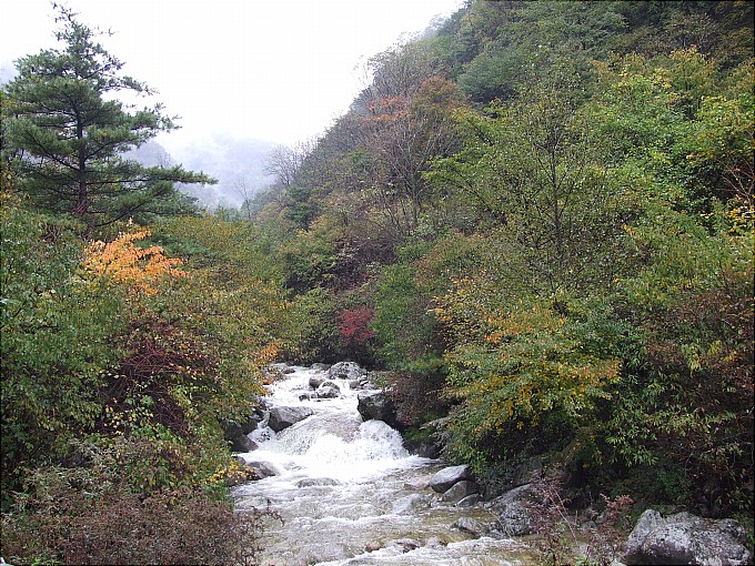 秋中太白 摄影 南山村