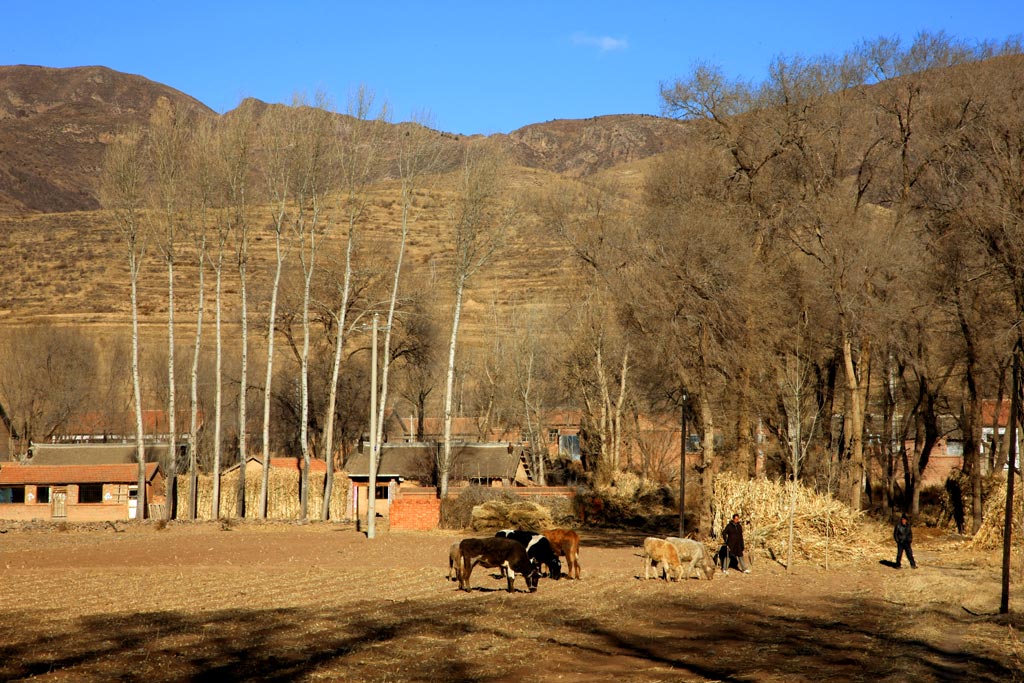 北方冬天的风景4 摄影 独行剑