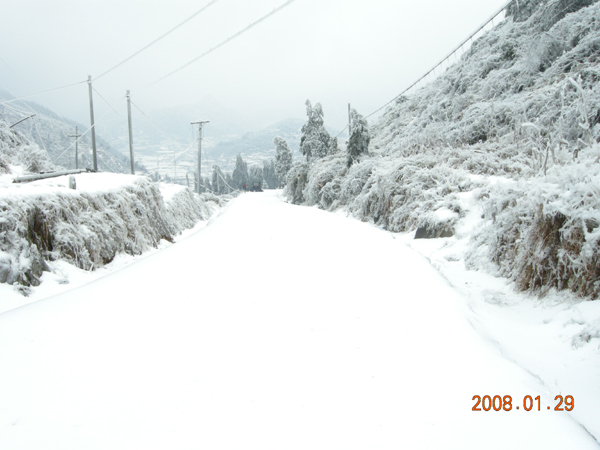 家乡后山雪地上 摄影 小雨点儿